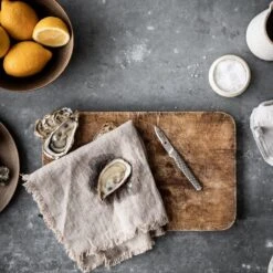 Global GSF GSF-18 Shellfish Knife 5cm -Global Shop global gsf gsf 18 shellfish knife 5cm p545 12367 image